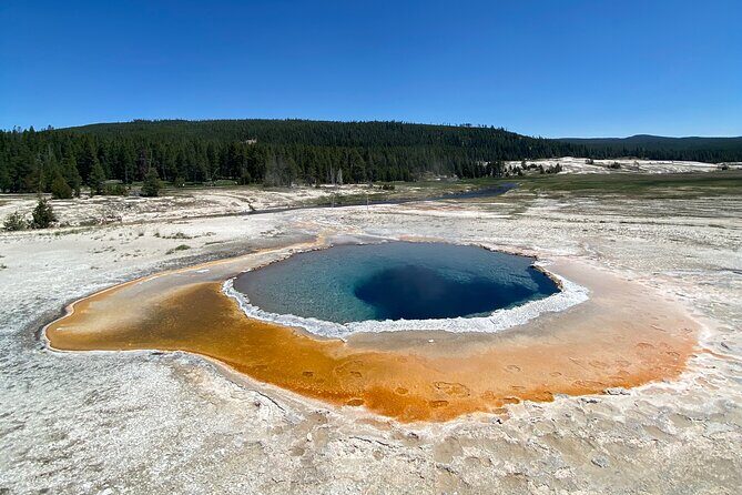 Half Day Private in Yellowstone Geyser Basin Tour - Who Will Love This Tour?