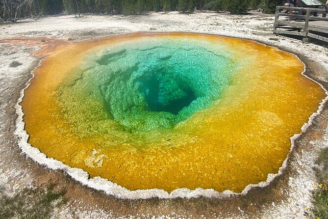 Half Day Private in Yellowstone Geyser Basin Tour - FAQ