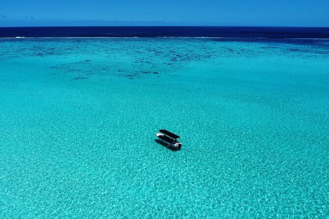 Half Day / Private Lagoon Adventure in Mo'orea - A Closer Look at the Tour Itinerary