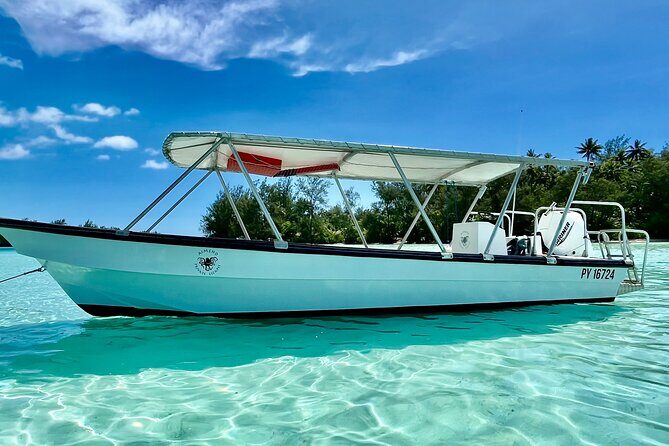Half Day / Private Lagoon Adventure in Mo'orea - What to Expect from the Tour