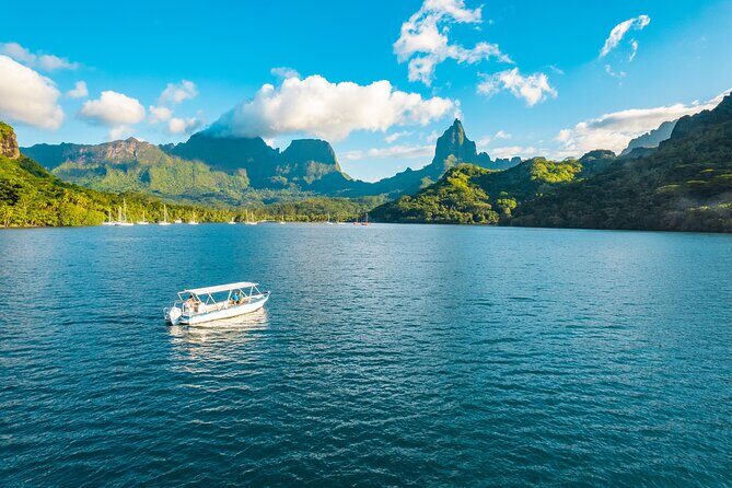 Half Day / Private Lagoon Adventure in Mo'orea - Authenticity and Unique Aspects