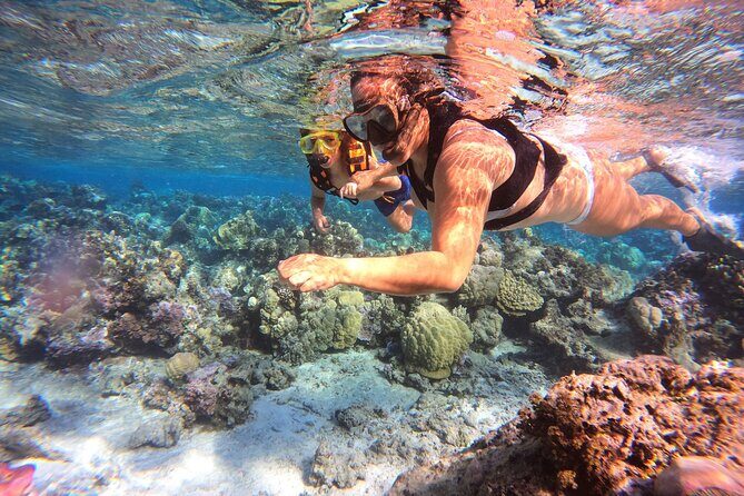 Half Day / Private Lagoon Adventure in Mo'orea - FAQ