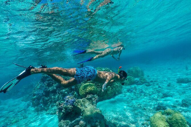 Half Day Private Lagoon Snorkeling Experience - Why This Tour Stands Out