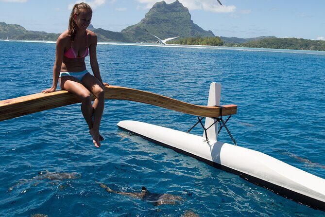 Half Day Private Lagoon Snorkeling Experience - Practical Considerations and Tips