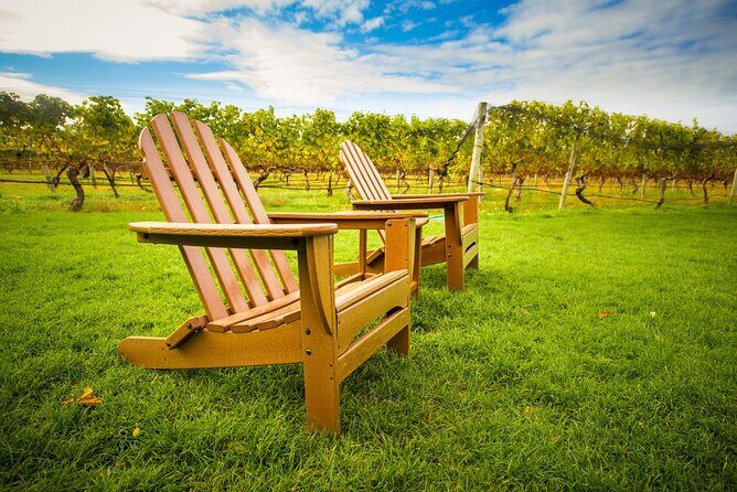 Half-Day Private Long Island Wine Tour Experience - Final Thoughts: Who Is This Tour For?