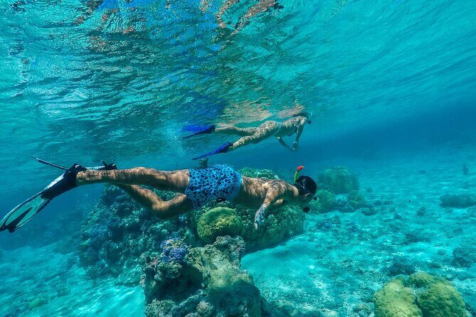 Half-Day Private Luxury Tour from Bora Bora - Exploring the Details of the Tour