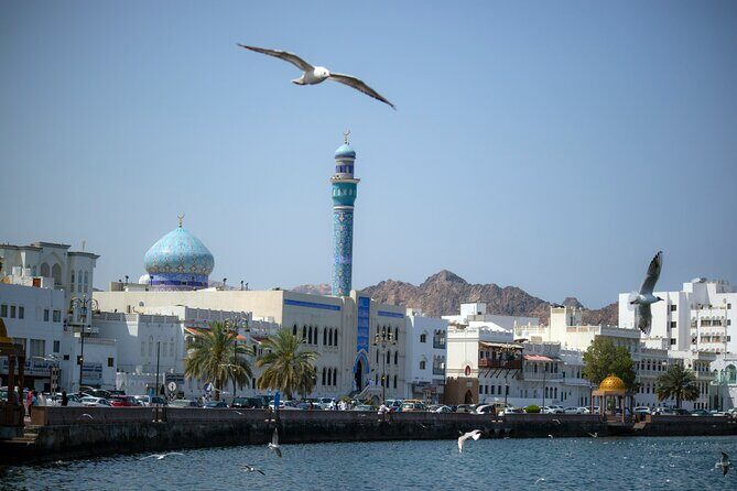 Half-Day Private Muscat City Tour 4 Hours - Who This Tour Is Best For