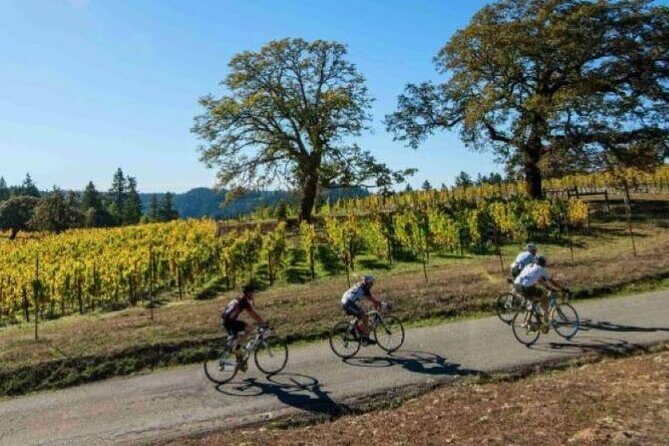Half Day Private North Fork Bike Tour Thru Wine Cntry in Matituck - FAQ