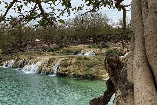 Half-Day Private Salalah East Tour - Exploring the Half-Day Private Salalah East Tour: A Practical and Authentic Journey