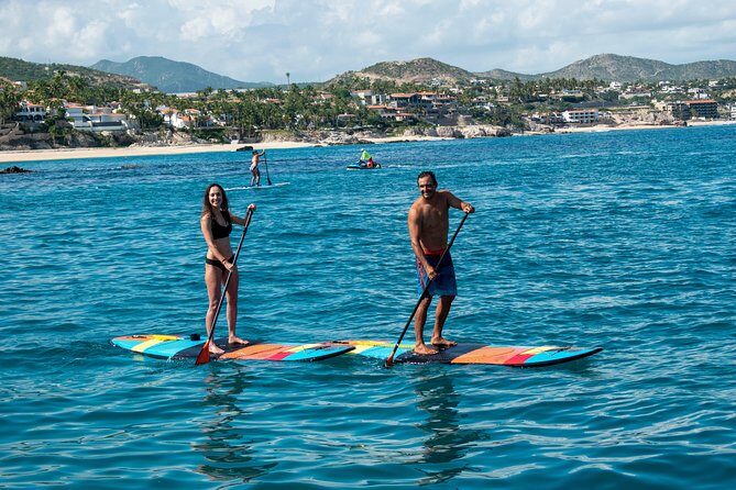 Half-Day Private Snorkel Sailing Adventure in Cabo San Lucas - What to Expect from the Private Sailing and Snorkeling Tour