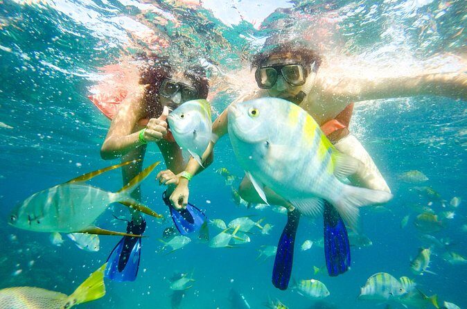 Half-Day Private Snorkel Sailing Adventure in Cabo San Lucas - Final Thoughts
