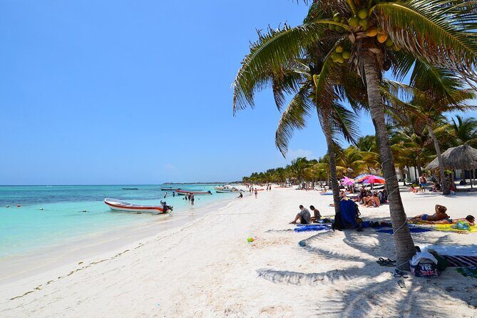 Half Day Private Snorkeling with Turtles and Majestic Cenotes - The Itinerary Breakdown