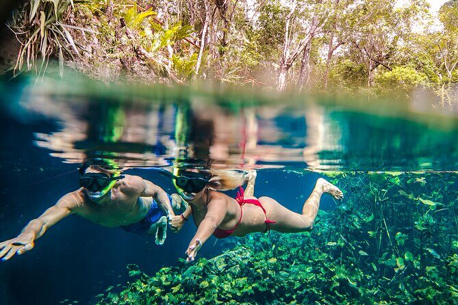 Half Day Private Snorkeling with Turtles and Majestic Cenotes - FAQ