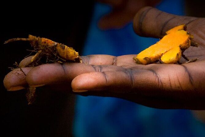 Half-day Private Spice Farm In Zanzibar With City Tour - What Past Travelers Say