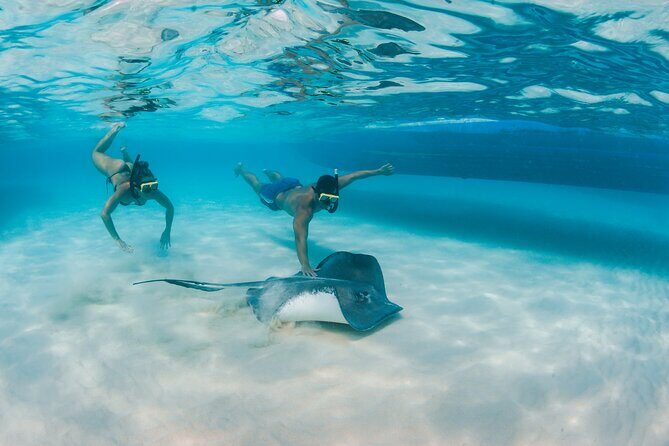 Half-Day Private Stingray City Charter - Grand Cayman - BTC - FAQ