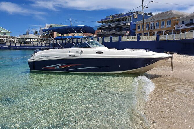 Half-Day Private Stingray City Charter in Cayman Islands - Key Points