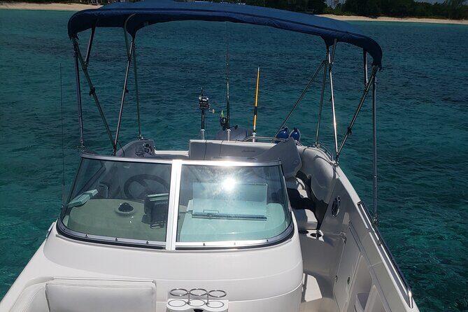 Half-Day Private Stingray City Charter in Cayman Islands - What to Expect from This Private Stingray City Tour