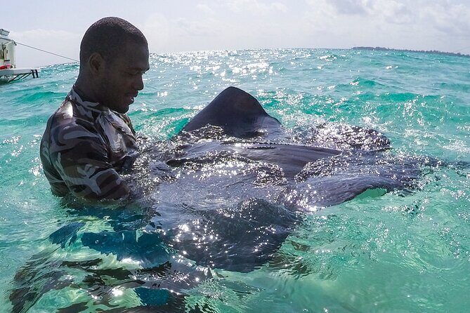 Half-Day Private Stingray City Charter in Cayman Islands - The Sum Up: Is It Worth It?