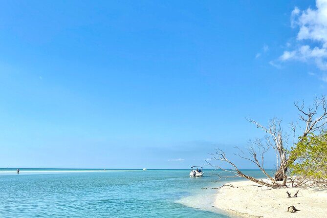 Half-Day Private Tiki Boat Beach Tour from Fort Myers - Key Points