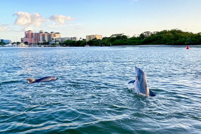 Half-Day Private Tiki Boat Beach Tour from Fort Myers - Why Choose This Tiki Boat Tour?