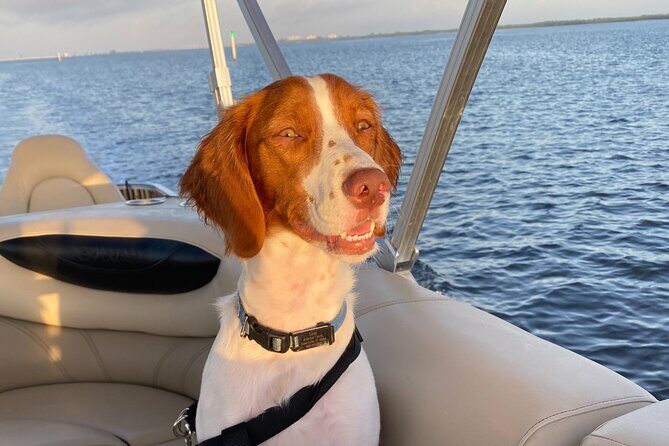 Half-Day Private Tiki Boat Beach Tour from Fort Myers - Summary: Is This Tour Worth It?