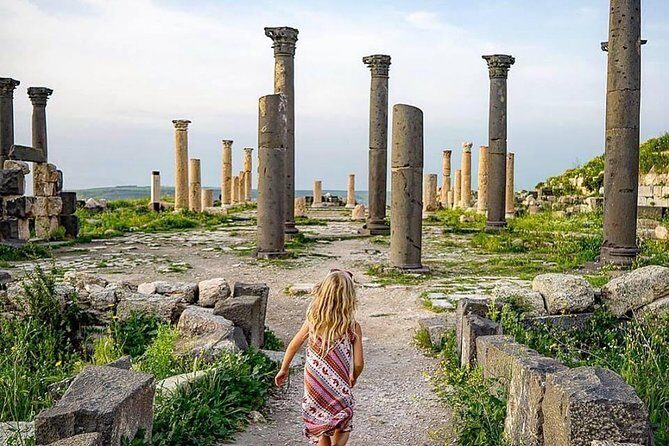 Half Day Private Tour From Amman To Jerash - The Itinerary in Detail