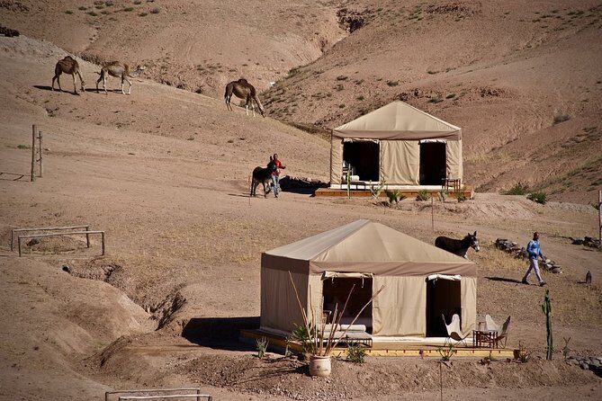 Half-Day Private Tour in Agafay Desert with Dinner - Authenticity and Cultural Touches