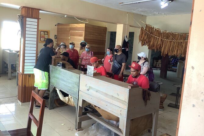 Half Day Private Tour in Dominican Republic with Local Guide - Frequently Asked Questions