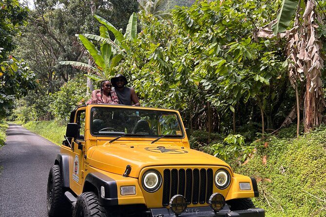 Half Day Private Tour in St. Lucia Jeep Wrangler - An Honest Look at the Half Day Private Jeep Tour in St. Lucia