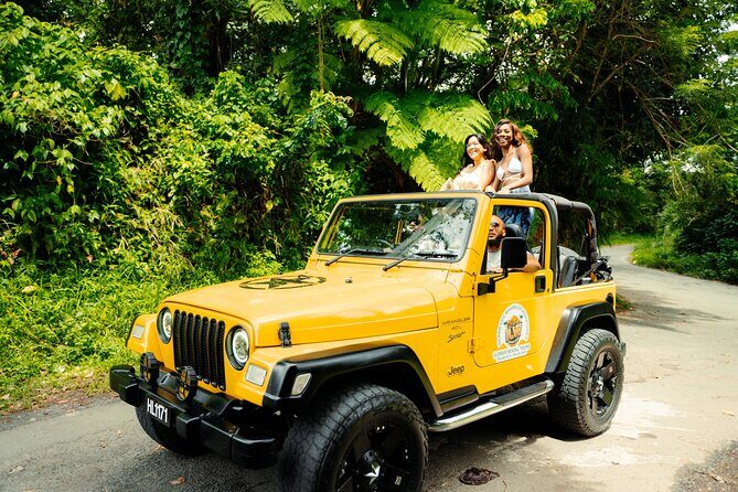 Half Day Private Tour in St. Lucia Jeep Wrangler - Key Points