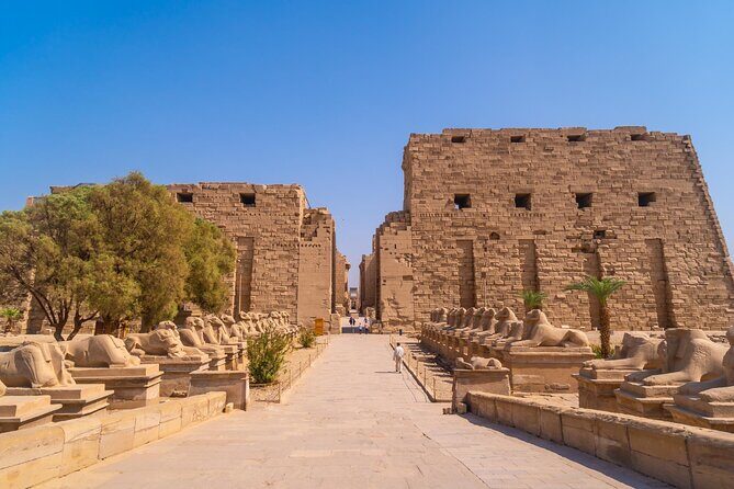 Half-Day Private Tour: Karnak and Luxor Temples - Who Will Love This Tour?