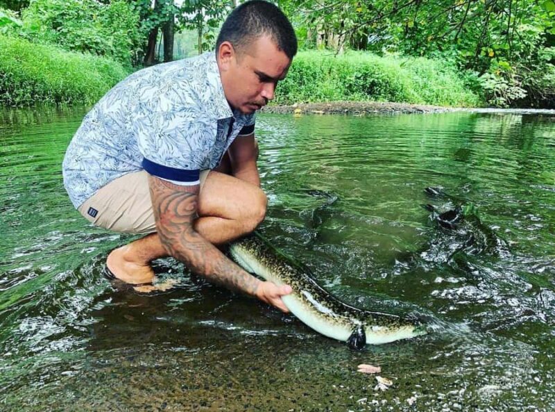 Half day Private tour of Moorea Safari Albert Pick up hotel - An In-Depth Look at the Tour