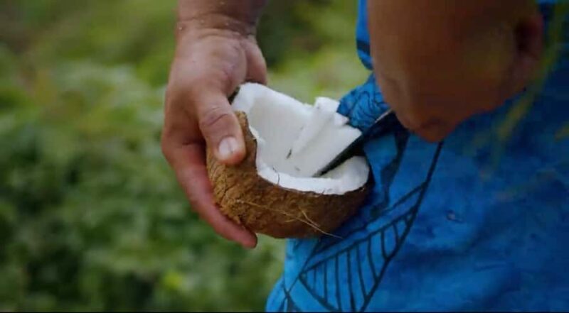 Half day Private tour of Moorea Safari Albert Pick up hotel - Authenticity and Value