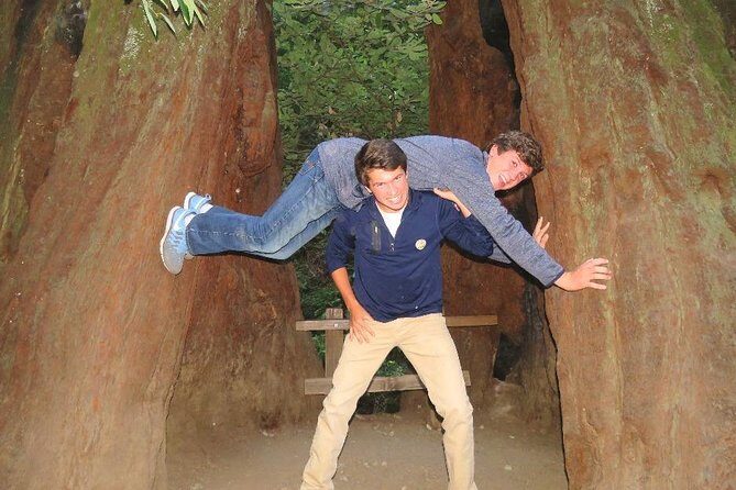 Half-Day Private Tour of Muir Woods & Sausalito from San Francisco - What It’s Like to Experience This Tour