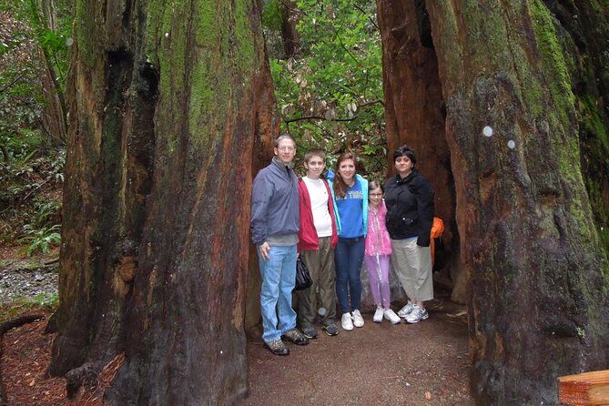 Half-Day Private Tour of Muir Woods & Sausalito from San Francisco - Why This Tour Is Worth Considering