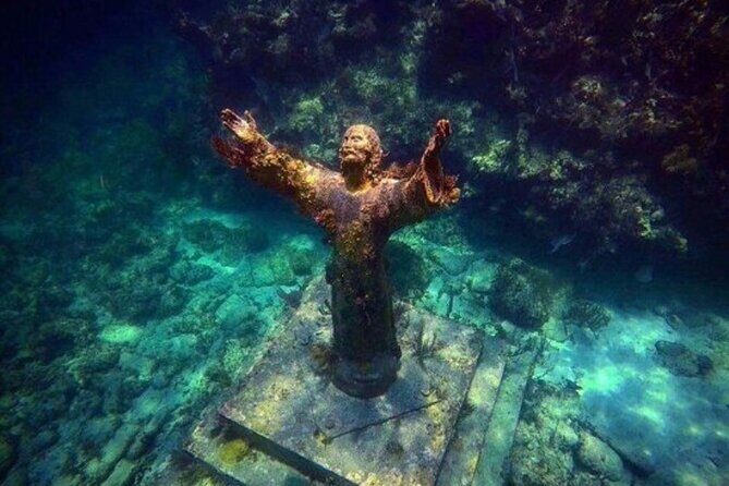 Half Day Private Tour to Islamorada Alligator Reef and Sandbar - Key Points