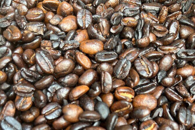 Half-Day Private Tour to Materuni Waterfalls and Coffee excursion - Key Points
