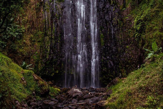 Half-Day Private Tour to Materuni Waterfalls and Coffee excursion - Authenticity and Traveler Feedback