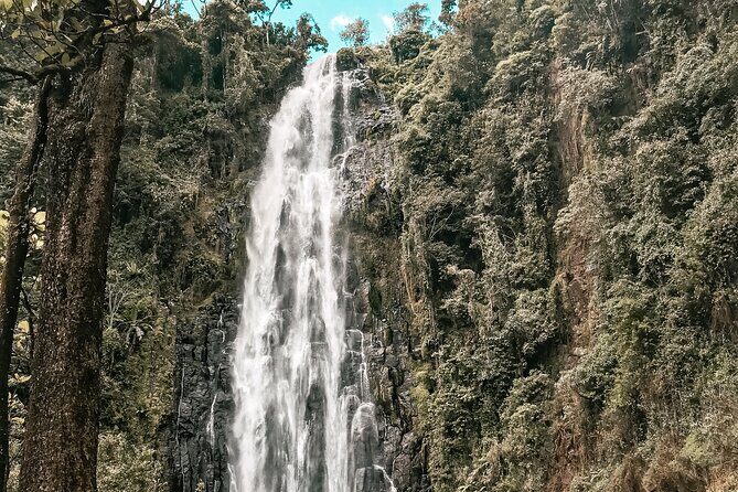 Half-Day Private Tour to Materuni Waterfalls and Coffee excursion - The Bottom Line: Who Should Consider This Tour?