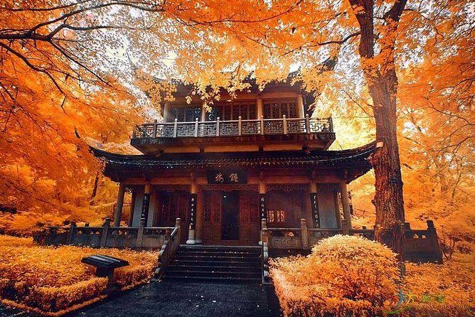 Half-Day Private Tour to Qixia Temple and Swallow Rock in Nanjing - Introduction