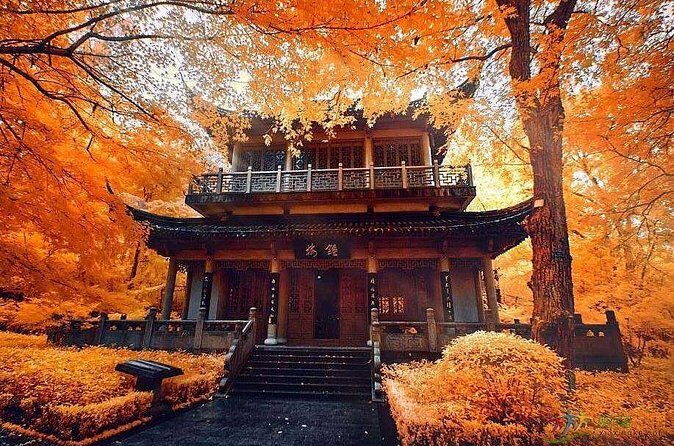 Half-Day Private Tour to Qixia Temple and Swallow Rock in Nanjing - The Sum Up
