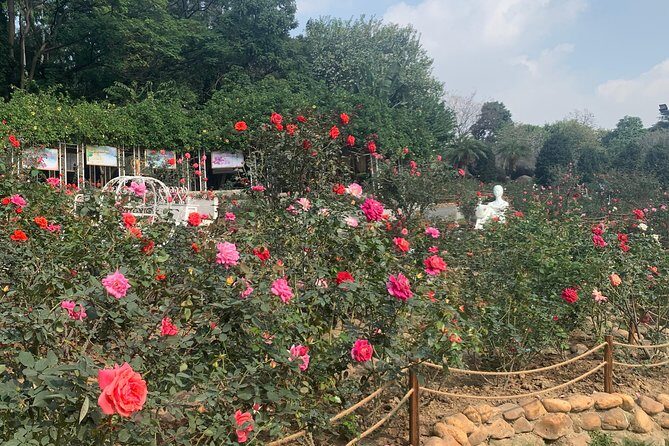 Half Day Private Tour to Yuntai Garden and Baiyun Mountain in Guangzhou - Detailed Breakdown of the Tour
