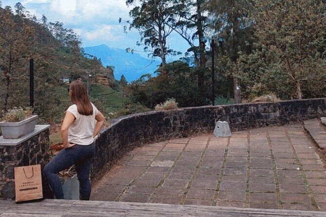 Half-Day Private Trip to Waterfalls and Tea Factory - The Sum Up