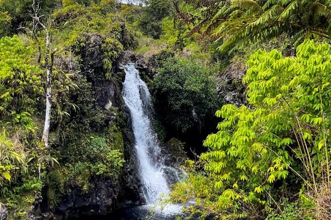 Half Day Private VIP Road to Hana Tour - Guides and Personal Touch