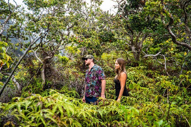 Half Day Private VIP Road to Hana Tour - Who Should Consider This Tour?