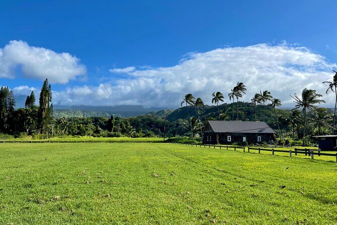 Half Day Private VIP Road to Hana Tour - Final Thoughts