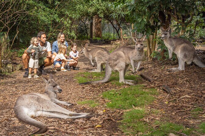 Half Day Private Wine Tasting Tour in Orange NSW - FAQ