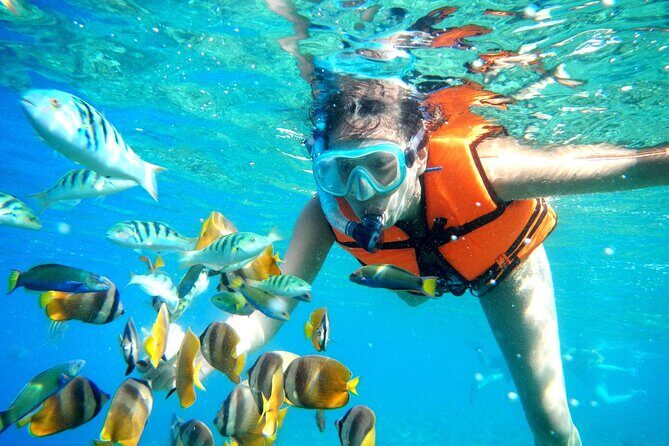 Half-Day Puerto Morelos Snorkeling Experience with Lunch - A Closer Look at the Experience