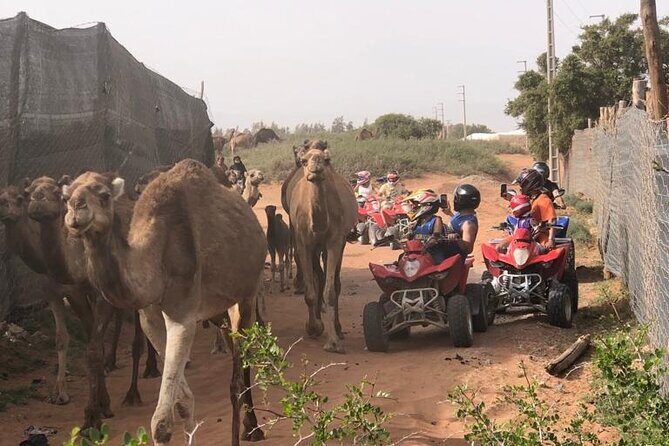 Half Day Quad in Agadir - An In-Depth Look at the Agadir Quad Experience