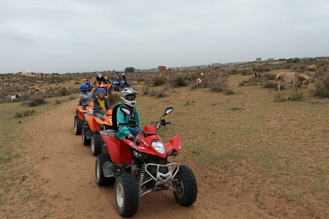 Half-day QUAD In Agadir + pick-up included from Agadir - Price and Value